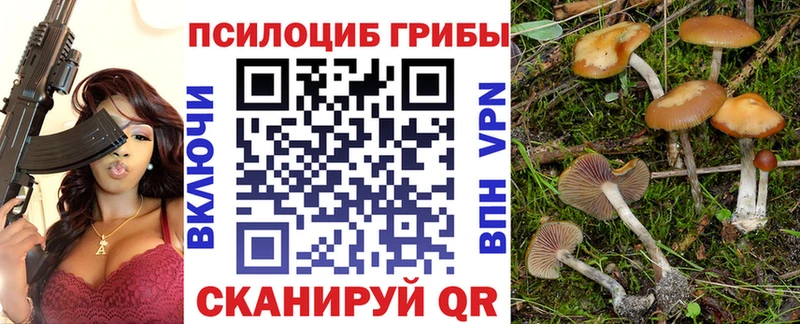 Псилоцибиновые грибы ЛСД  Узловая 