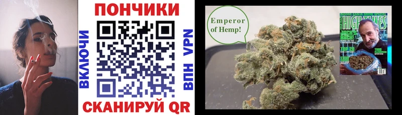 Конопля конопля Узловая